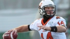 Travis Lulay