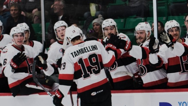 Belleville Senators celebrate