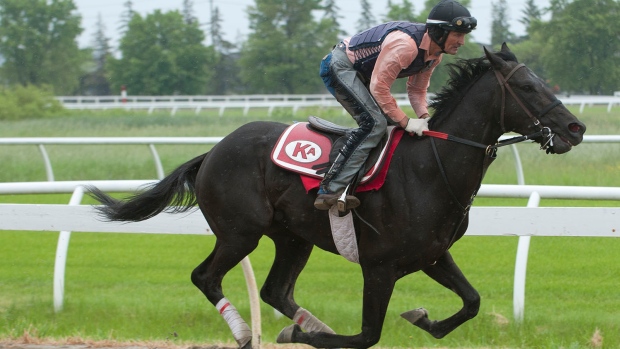 International traveller tone broke set for Canadian debut in