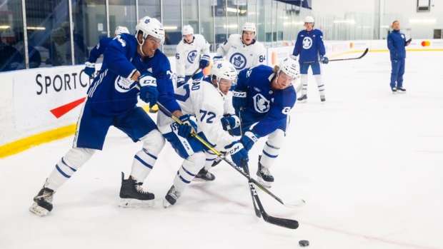 Five standouts from Leafs' development camp 