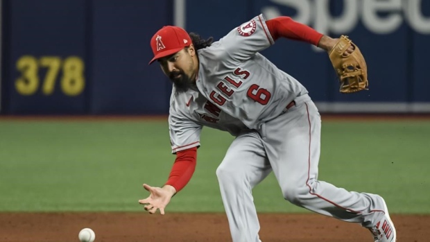 ANAHEIM, CA - APRIL 12: Los Angeles Angels third baseman Anthony Rendon (6)  looks on during the MLB game between the Washington Nationals and the Los  Angeles Angels of Anaheim on April