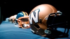 Winnipeg Blue Bombers helmet