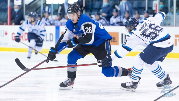 Qmjhl Roundup Saint John Sea Dogs Finish Season 15-game Winning Streak 