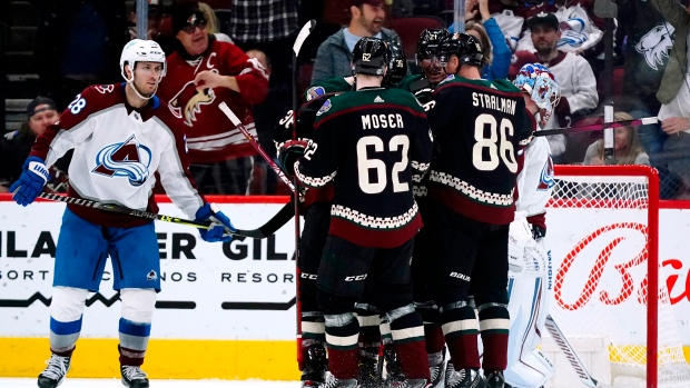 Arizona Coyotes celebrate