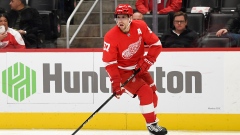 Red Wings forward David Perron suspended 6 games for cross-check on  Ottawa's Artem Zub - The Morning Sun