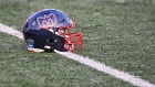 Montreal Alouettes helmet 