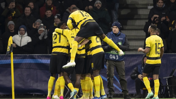 Red Star - Young Boys - 2:2. Champions League. Match review