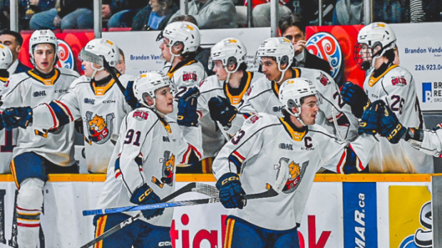 Barrie Colts