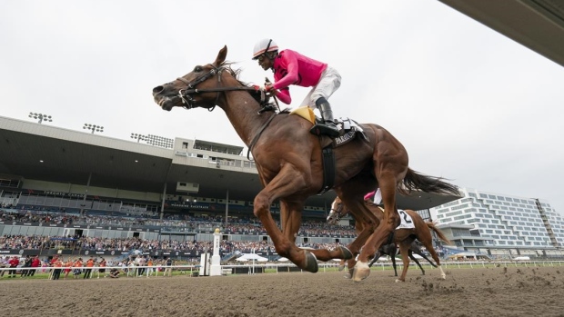 Canadian Triple Crown opens with King’s Plate on Aug. 17 at Woodbine Racetrack – TSN.ca