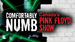 Comfortably Numb – Canada’s Pink Floyd Show