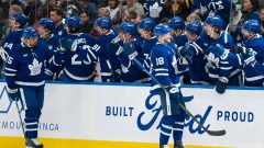 Steven Lorentz and Maple Leafs celebrate 