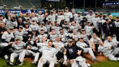 Yankees celebrate