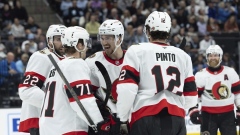 Ottawa Senators celebrate