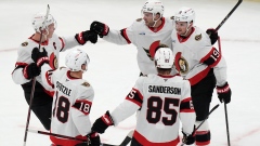 Ottawa Senators Celebrate