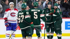 Minnesota Wild Celebrate