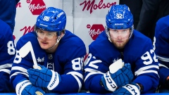 William and Alex Nylander