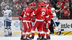 Detroit Red Wings