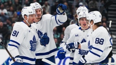 Toronto Maple Leafs celebrate