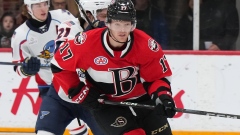 Belleville Senators Stephen Halliday