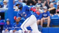 Vladimir Guerrero Jr.