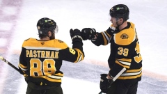 David Pastrnak and Morgan Geekie