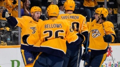 Nashville Predators