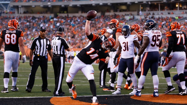 Bengals' Andy Dalton back in comfort zone in new offense