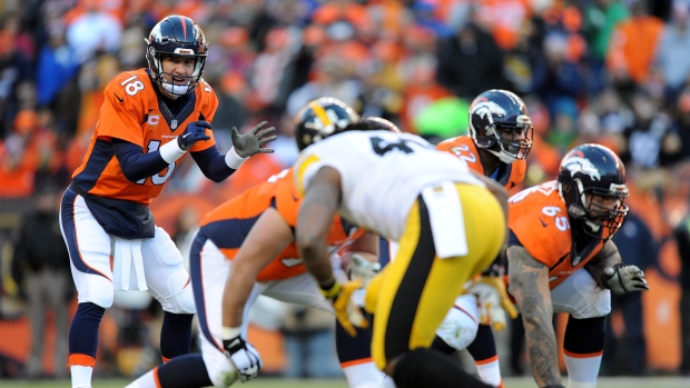 Broncos defeat Steelers, 23-16, as Peyton Manning will face Tom Brady and  Patriots in AFC Championship – New York Daily News