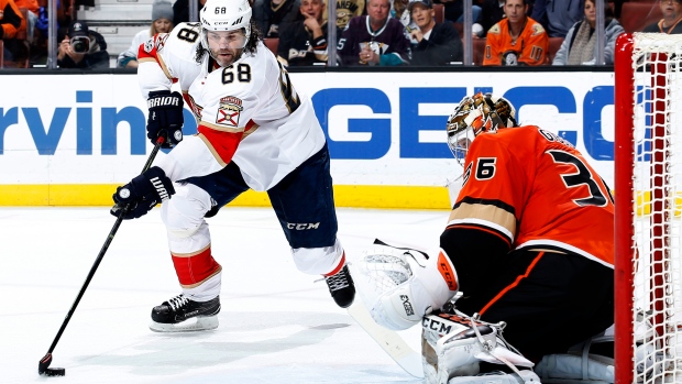 Jaromir Jagr scores go-ahead goal for Florida Panthers in win over Anaheim  Ducks