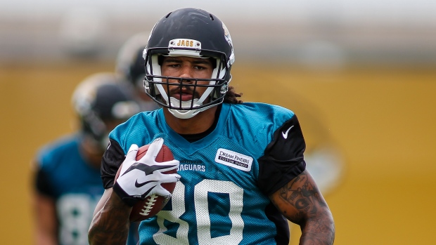 Jaguars cut 13, place TE Rivera, S Johnson on IR 