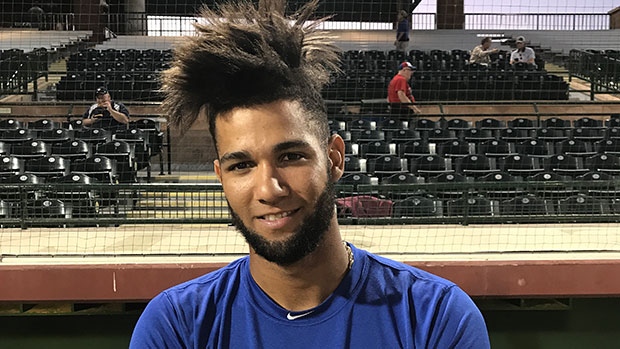 Gurriel Jr. rode highs, lows of brother's World Series chase 